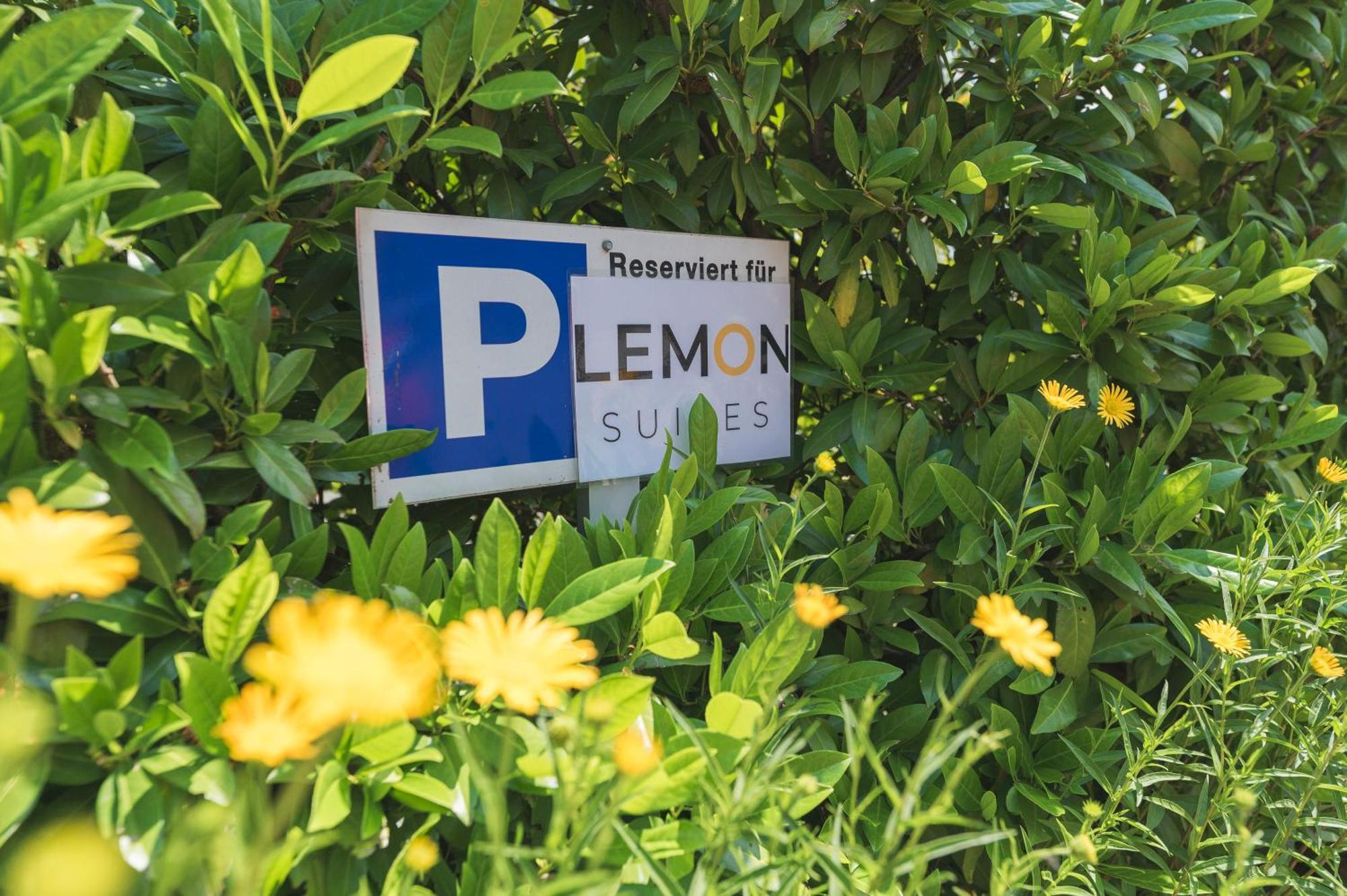 Lemon Suites Hildrizhausen - Ideal Fuer Teams Und Monteure Exterior foto